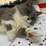 火流云