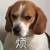 今天我起床了吗