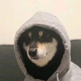 蹦沙卡拉卡