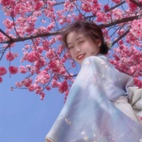 楚晚宁