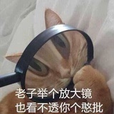 可尔必思好好喝