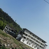 春夏渊