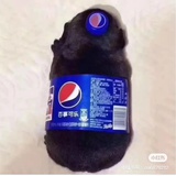 嘻嘻