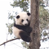 吃瓜群众
