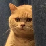脱氧核糖