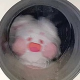 momomo