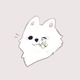 快乐猫咪