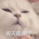 死到普
