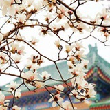 可爱儿