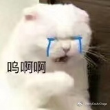 愿您万事胜意