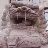 桂花·赵