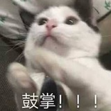 抠脚小松鼠