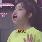 小鸡咕咕