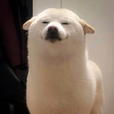 奥家卡司机