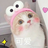 哈哈笑