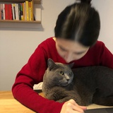 四分之一加五