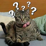 小欧同学在成长