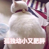 小不点~