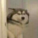 叩叩