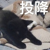 中研院猫猫