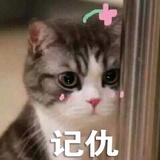 玩家W