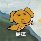 捡垃圾专用lv