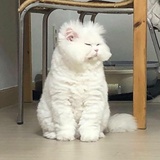 小丁同学