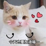 炒黄瓜最好吃了