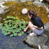 翟小宅