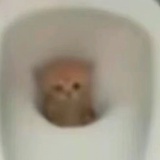 卓拂