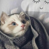 也许时光