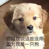 _kai-