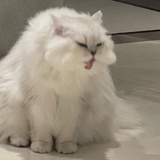 咦我会发光哦