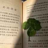 法鲨微笑h