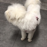 抱紧狗头🫤