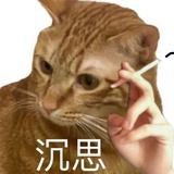 蓝猫树