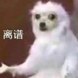 睡醒了吗