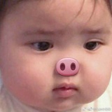 吃饭睡觉打豆豆