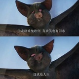 鱼饼