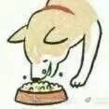 汪