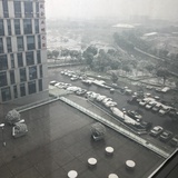 银木滑倒