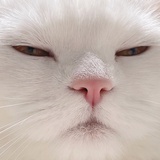ゆき