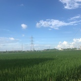 你在干嘛