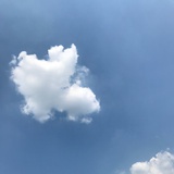 不露白