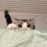 颜了了丶