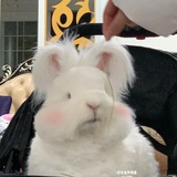 日行一丧