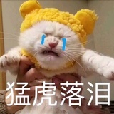已注销