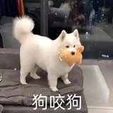 狗骨定理🦴