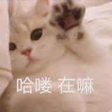 布丁奶茶去茶底