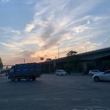 岚悼